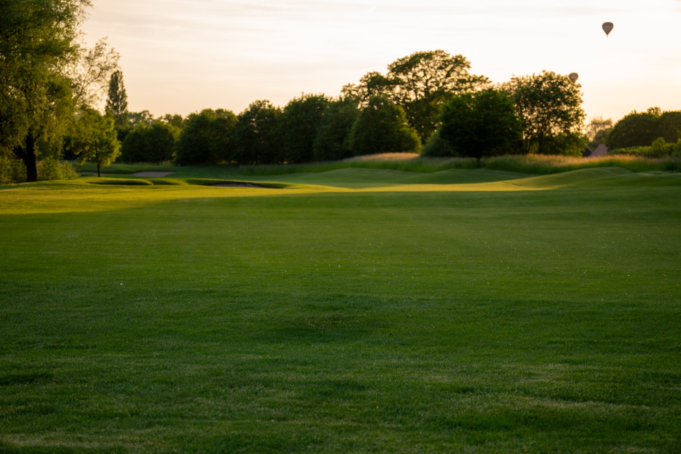 Golfplatz im Abendlicht – gepflegtes Fairway, Bäume und Grün